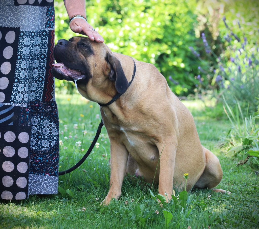 Umbala Du Domaine Des Vents Landais