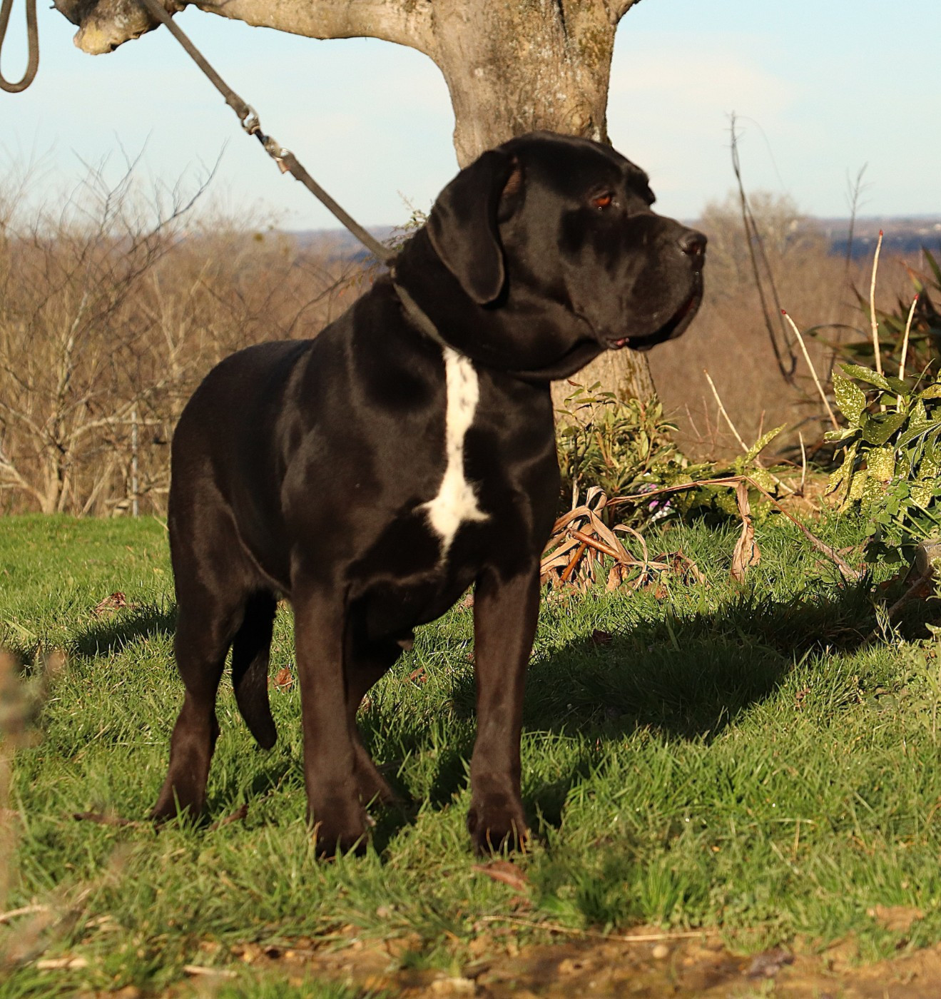 Rihanna (Sans Affixe)